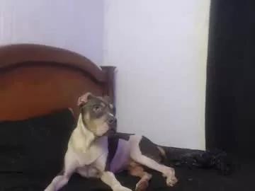 principe_oscuro on Chaturbate 